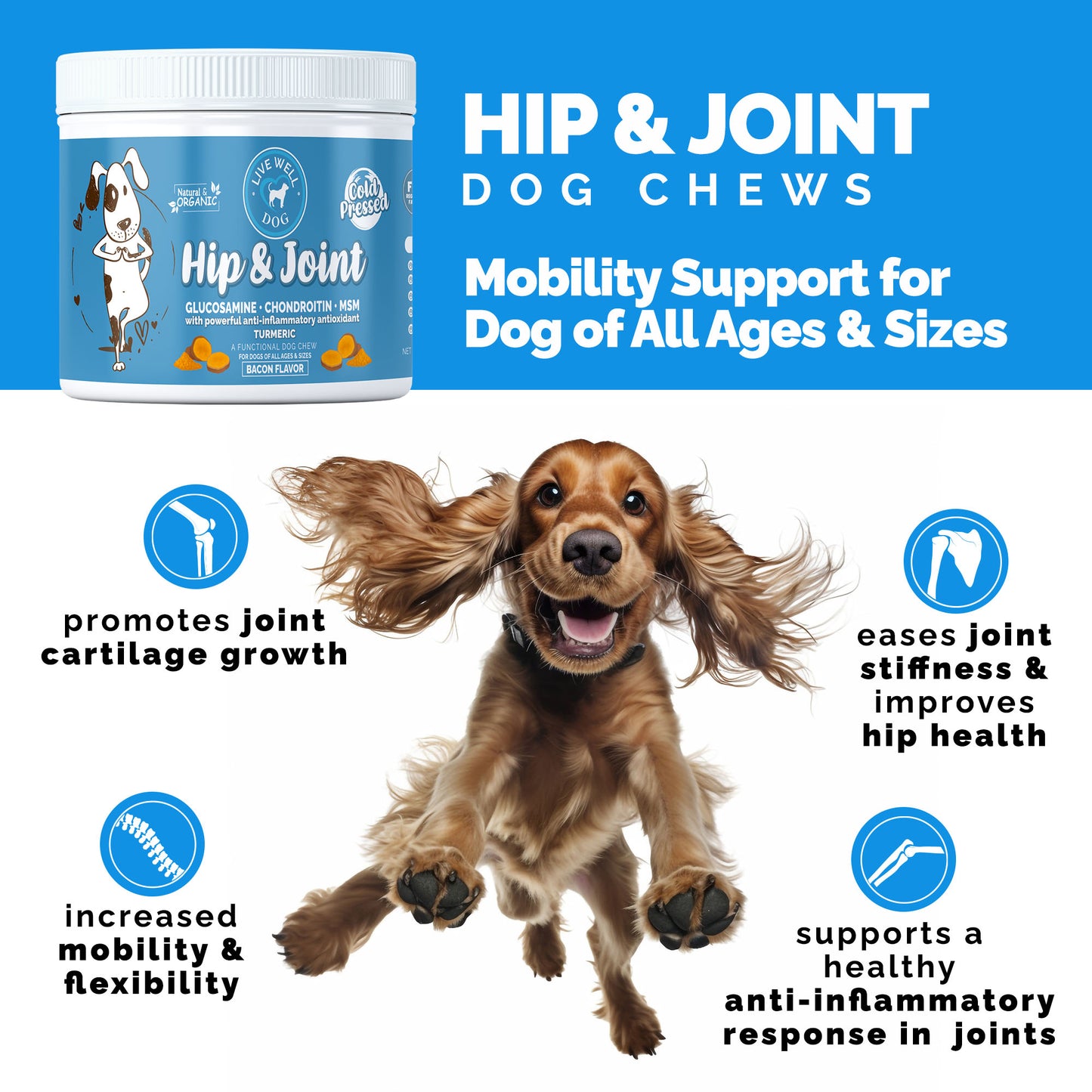 Live Well Dog Hip & Joint Cold Pressed Chews 120 Count for Dogs