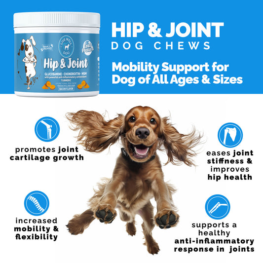 Hip & Joint Chews – Mobility, Hips & Flexibility