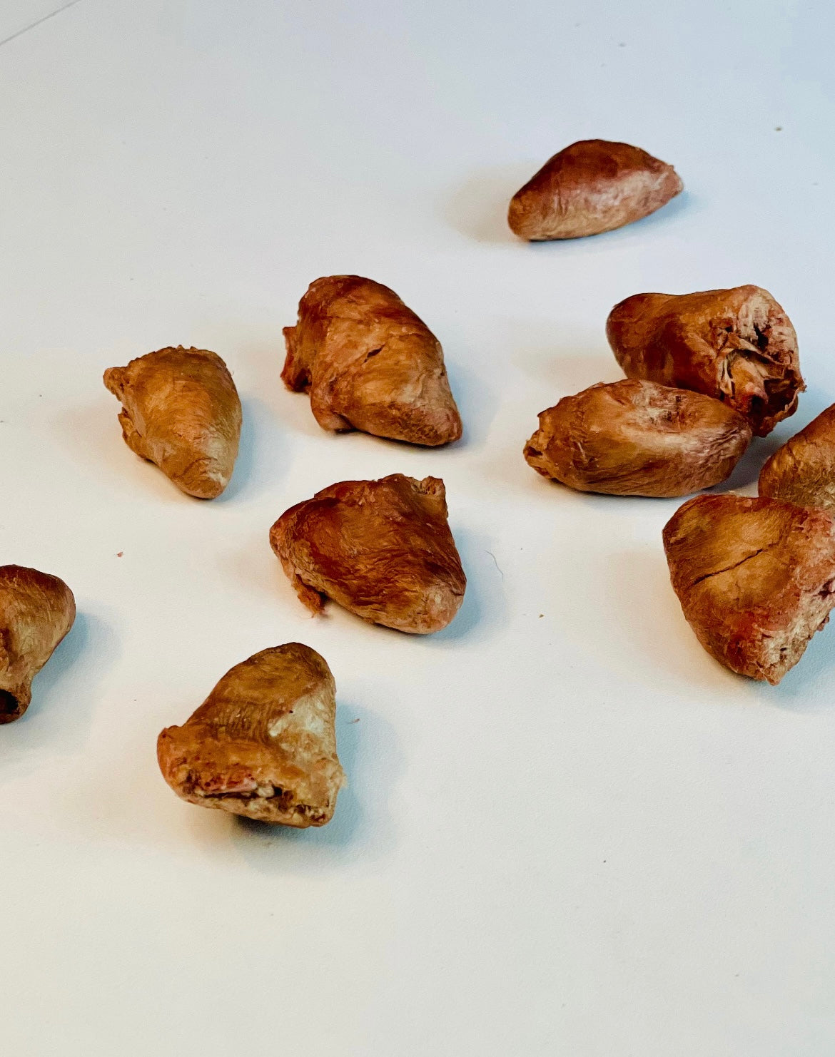 Single-Ingredient Chicken Hearts – Freeze-Dried Dog & Cat Treats