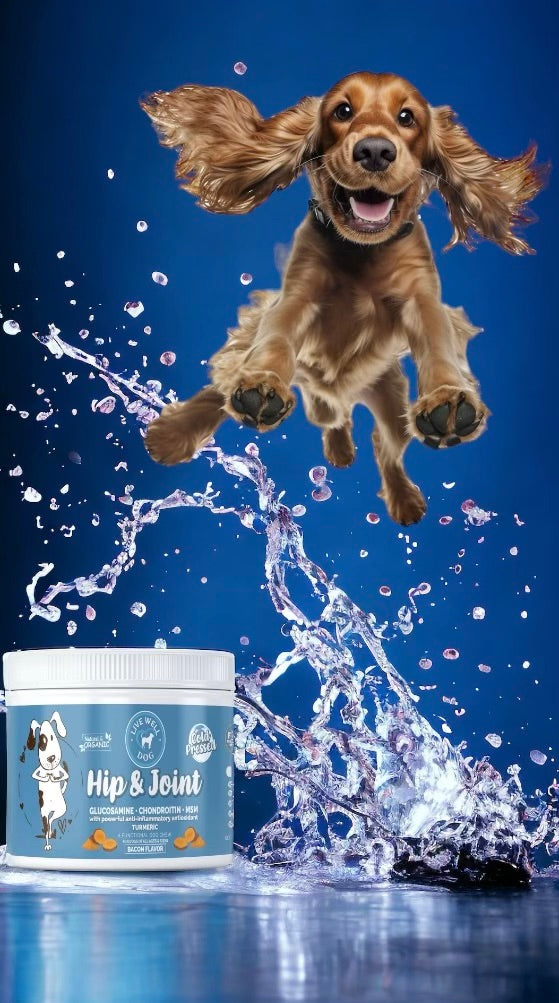 Live Well Dog Hip & Joint Cold Pressed Chews 120 Count for Dogs