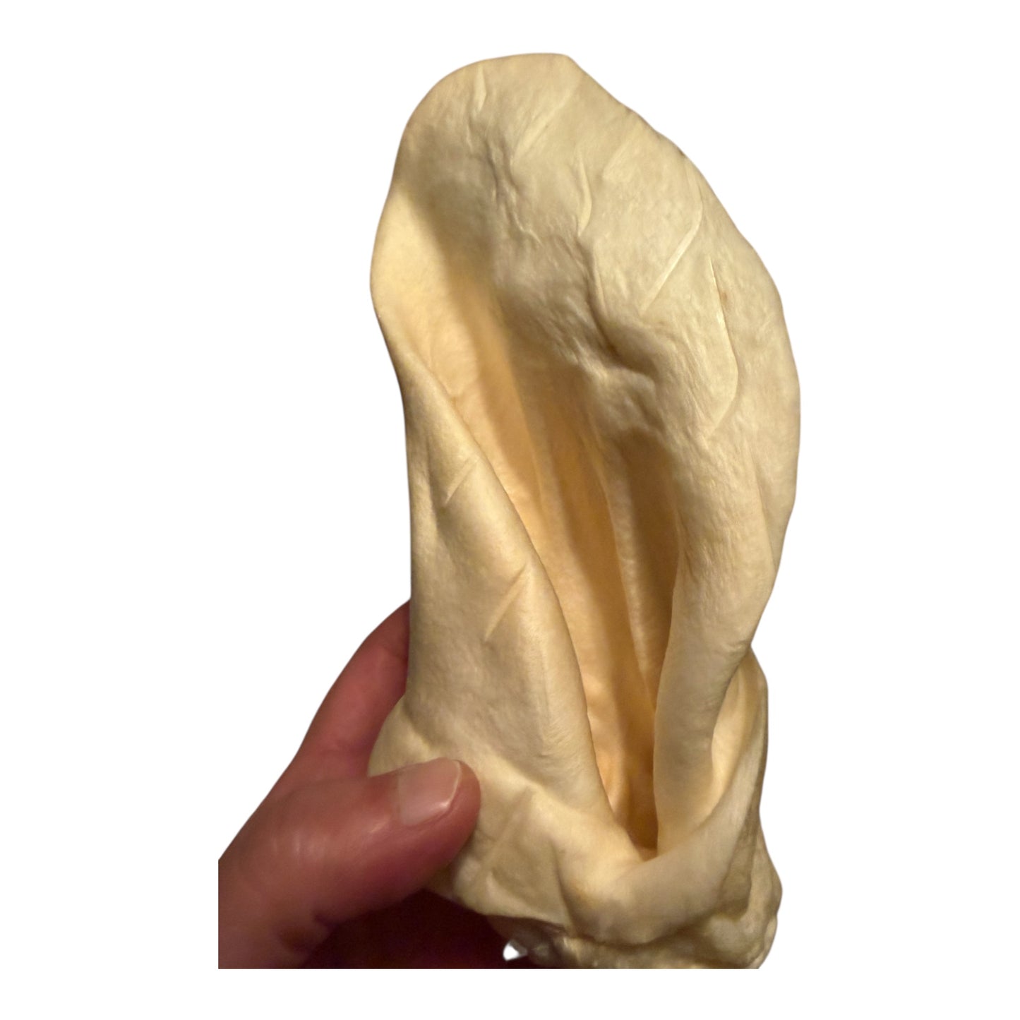 Single-Ingredient Natural Cow Ear Chews (Jumbo) – 4 Pack | 100% Beef