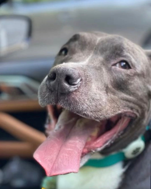 👁️ Chewing & Vision: An Overlooked Connection