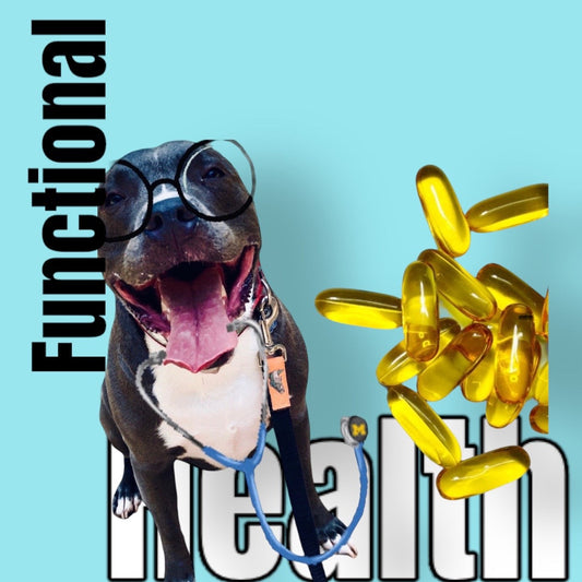 Functional Medicine for Dogs: What Your Vet Isn't Telling You About Root-Cause Healing