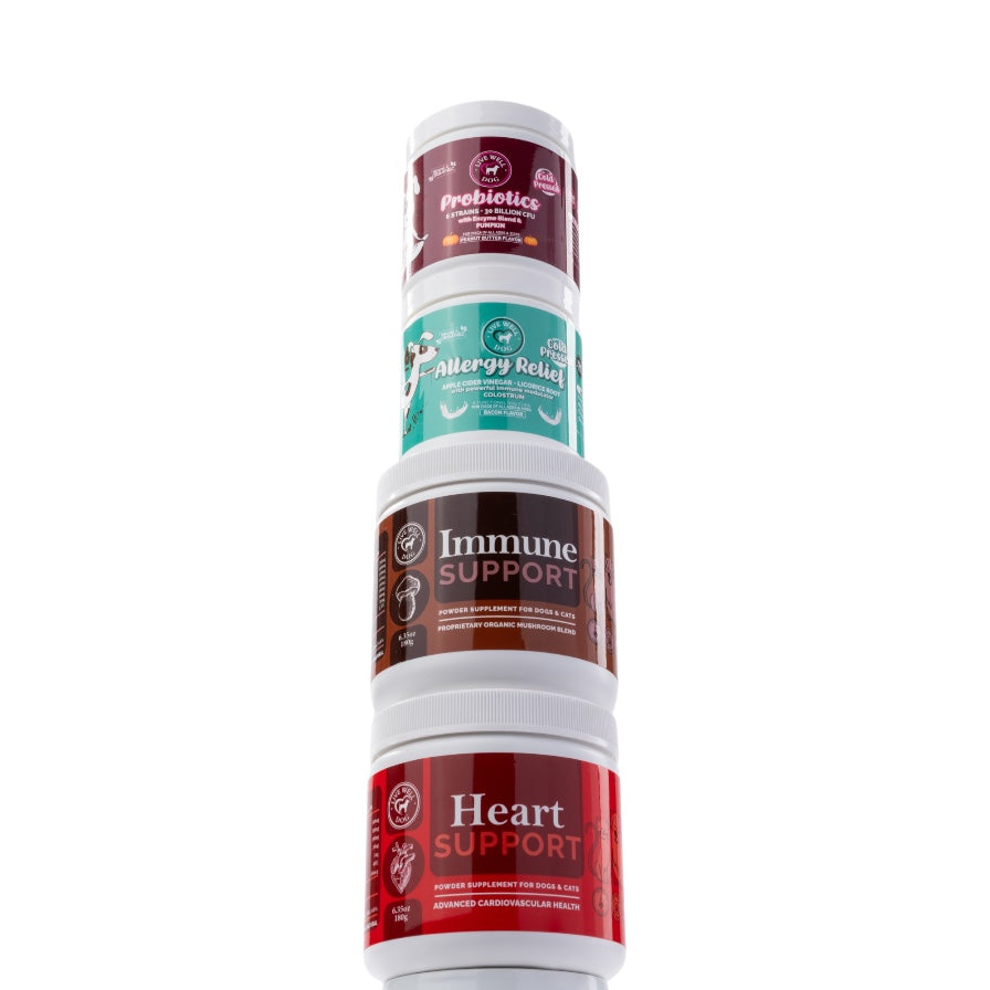 How to Use Supplements for Dogs: Rotating, Stacking & Whole-Food Support | Live Well Dog