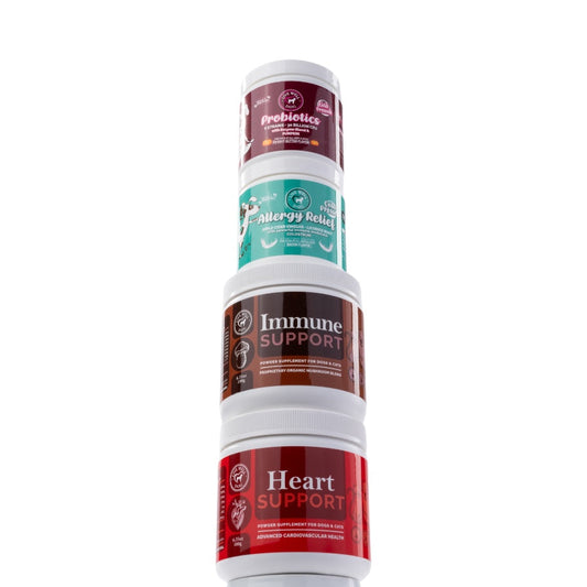 How to Use Supplements for Dogs: Rotating, Stacking & Whole-Food Support | Live Well Dog