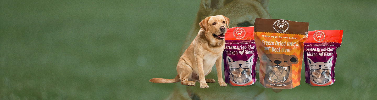 Single-Ingredient Dog Treats