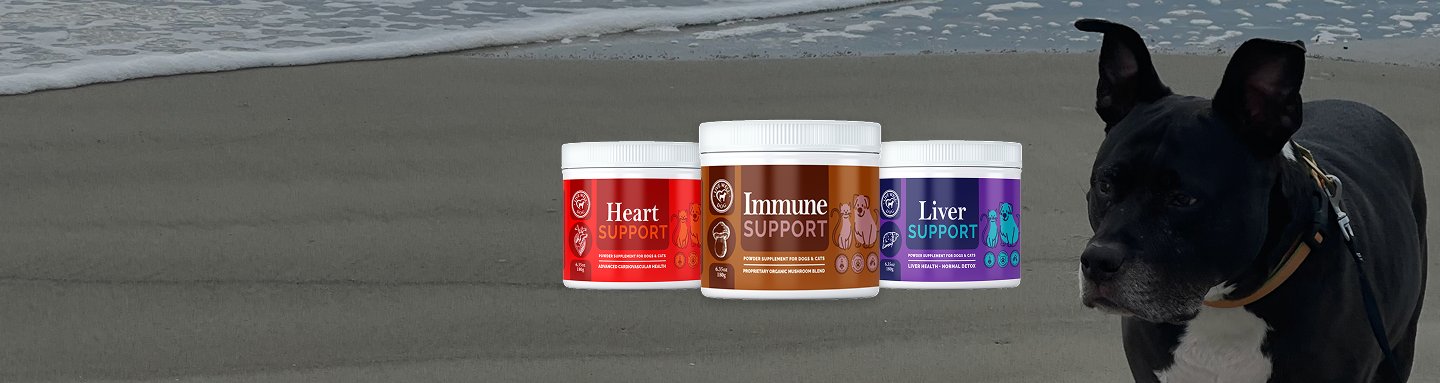 Support Powder Supplements for Cats and Dogs