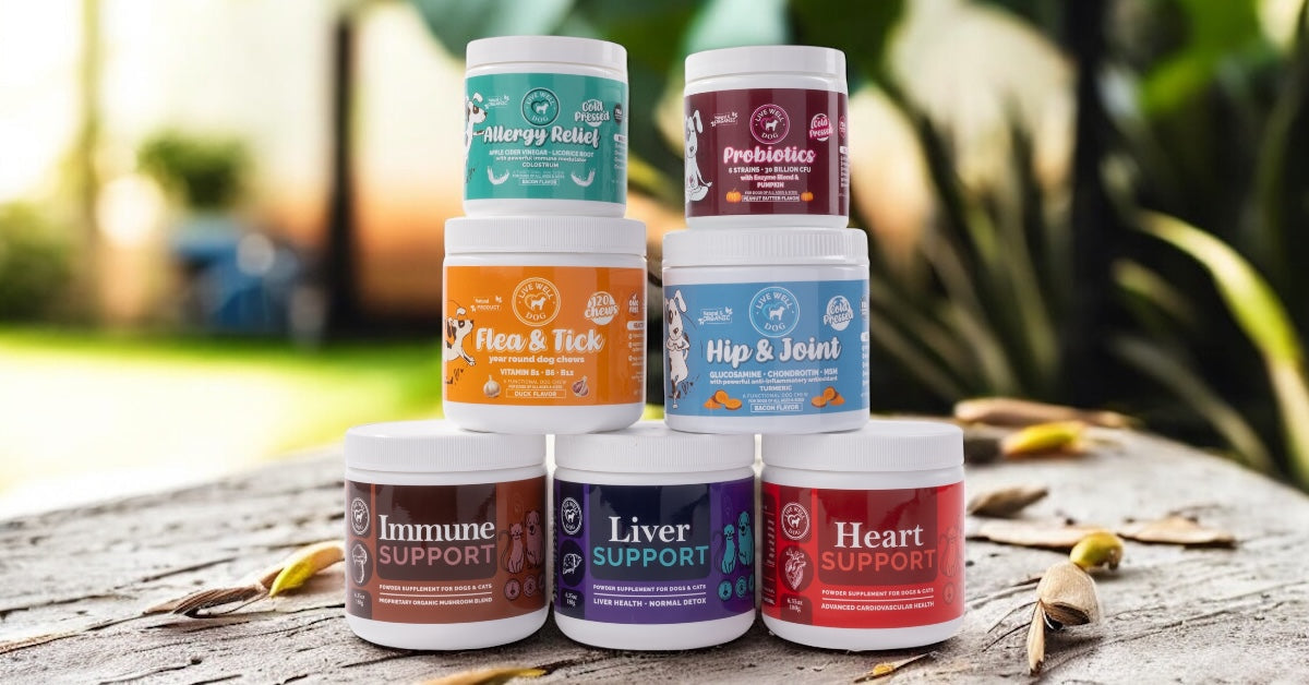 Live Well Dog™ Functional Chews & Wellness Powders