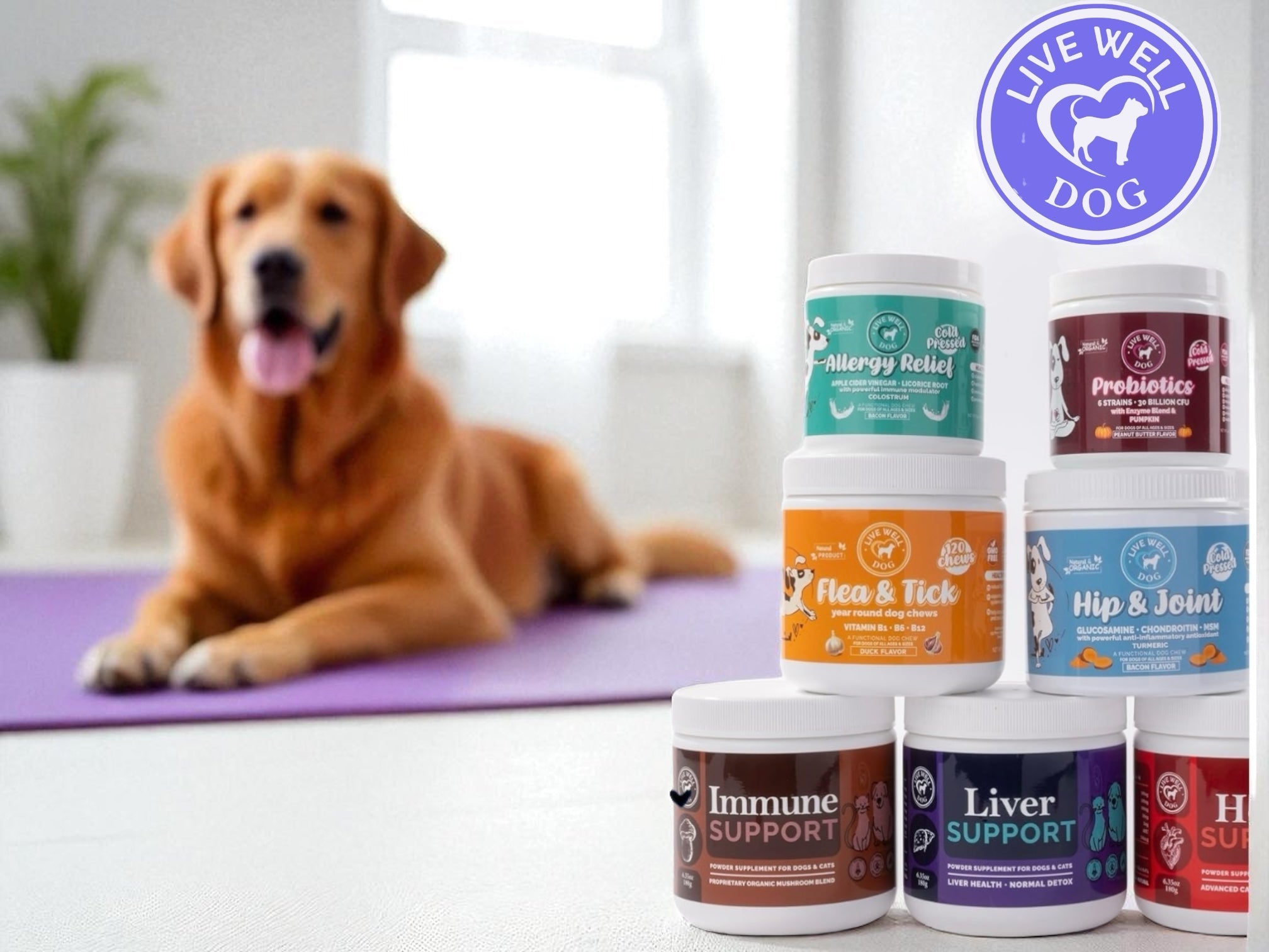 The Live Well Dog™ Collection