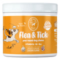 Natural Flea & Tick Prevention for Dogs | Live Well Dog