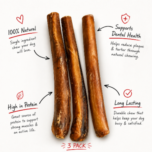 Bully Sticks for Dogs | Extra Thick, Long-Lasting Beef Chews | Live Well Dog™