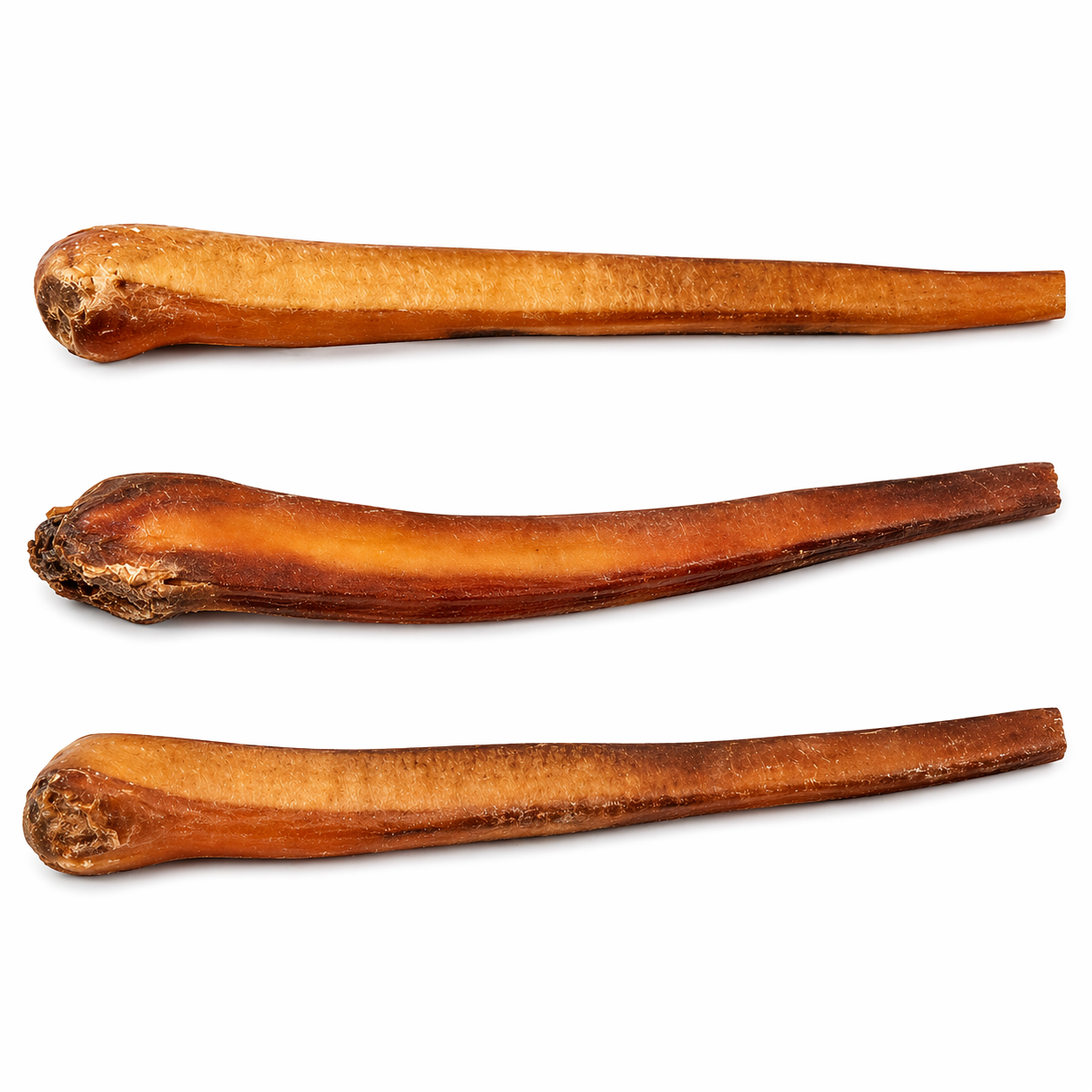 Bully Sticks for Dogs | Extra Thick, Long-Lasting Beef Chews | Live Well Dog™