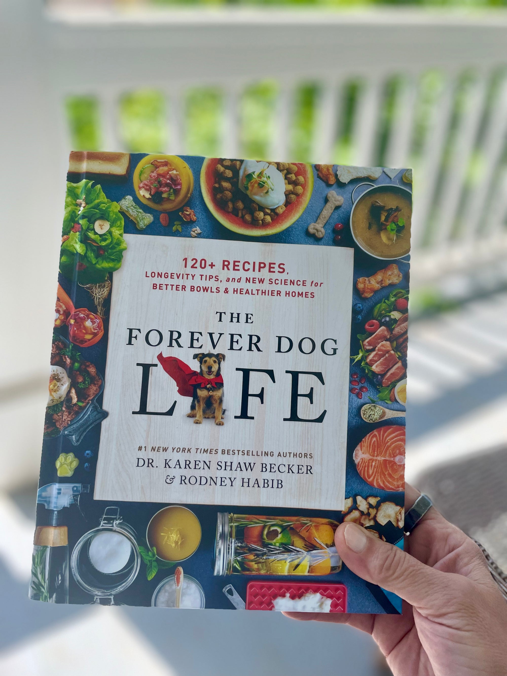 The Forever Dog Life - by Rodney Habib & Karen Shaw Becker (Hardcover)