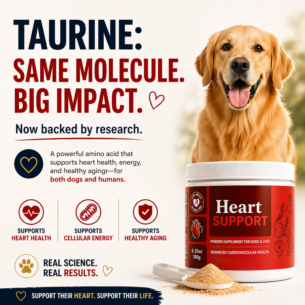 Live Well Dog™ Heart Support Powder, Cardiac & Circulatory Support with Taurine & Hawthorn for Dogs and Cats