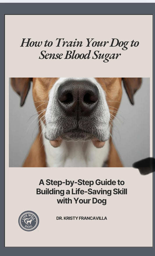 How to Train Your Dog to Sense Blood Sugar