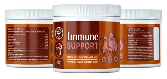 Immune Mushroom Topper – Daily Gut + Immune Boost