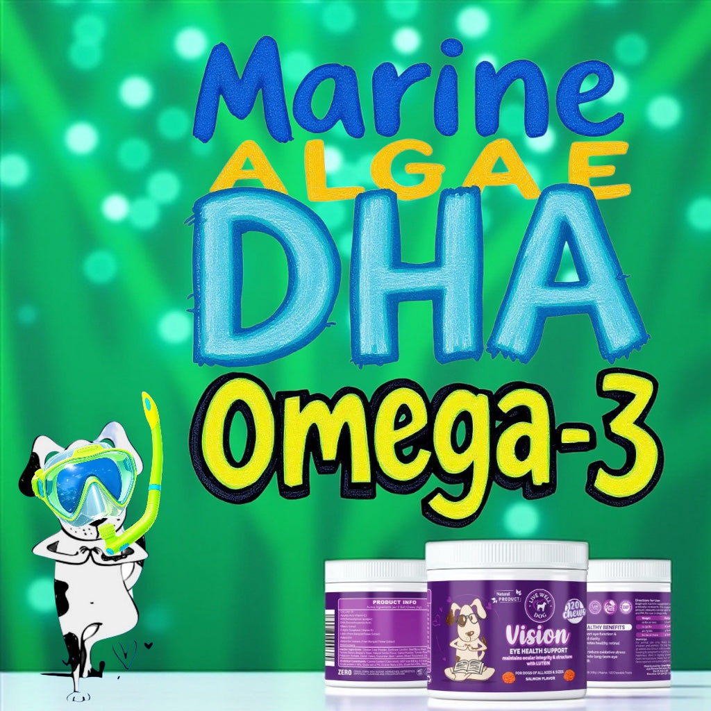 Live Well Dog Vision Support soft chews for dogs with marine algae DHA and omega-3 for eye and brain health
