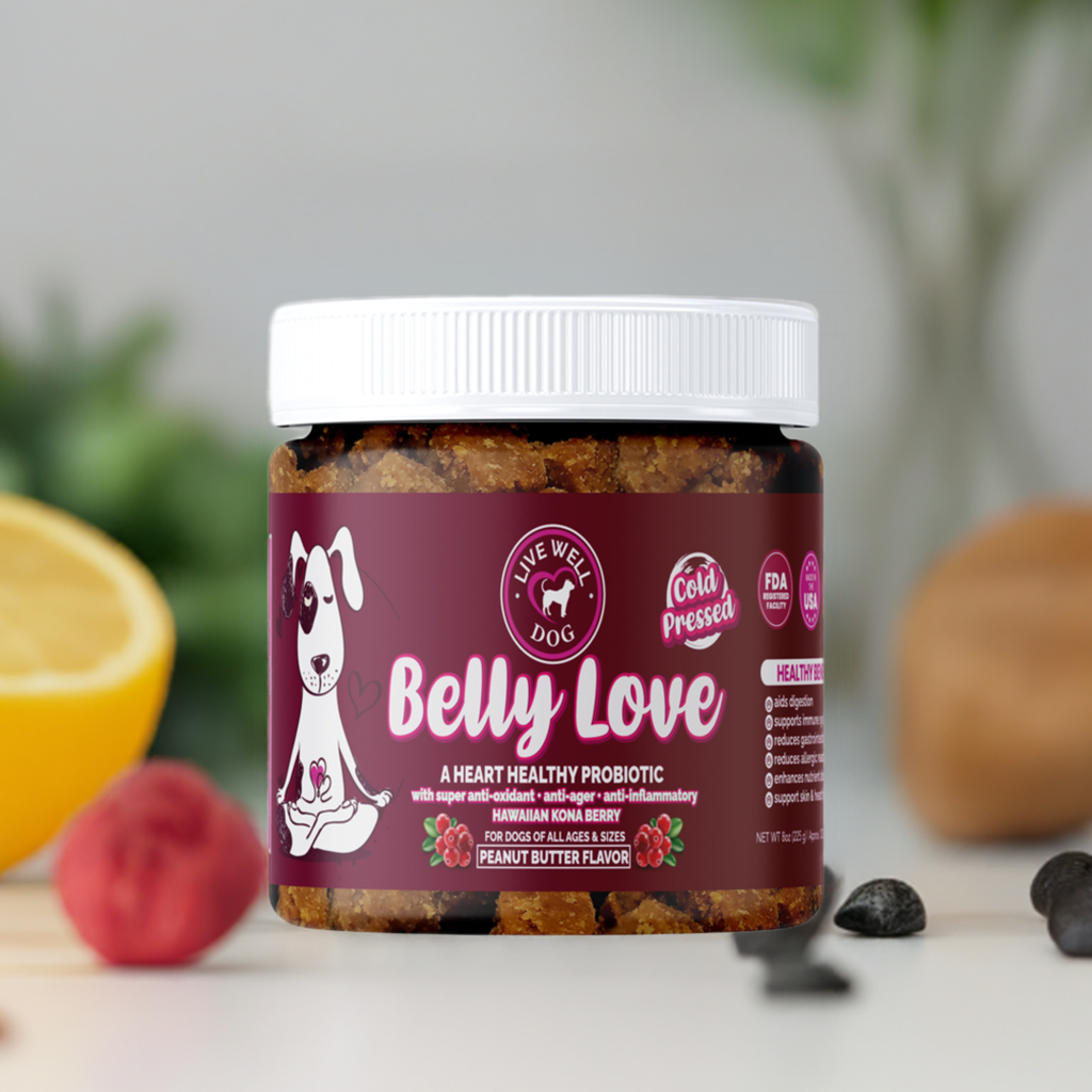 Belly Love - Heart Healthy Probiotic with Digestive Enzymes